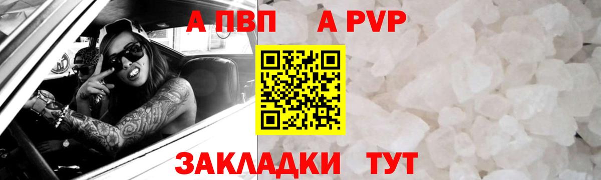 Кореновск  Альфа ПВП крисы CK  А ПВП СК КРИС  Вход с VPN 