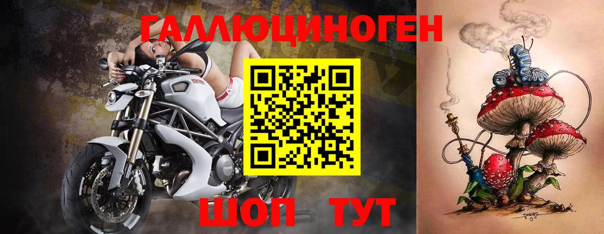 Галлюциногенные грибы Cubensis  Вход с VPN  Галлюциногенные грибы прущие грибы  Кореновск 